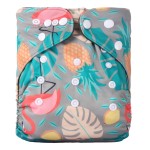 Baby Cloth Diapers Supplier - RTS Double Snaps Waterproof