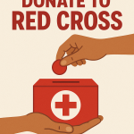 Sanitary Napkin Supplier - 5pcs Softness Quick Dry with Bag