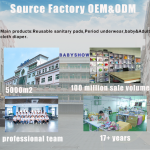 Cloth Menstrual Pads Supplier - 5pcs Super Absorbent with Panties