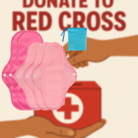 Menstrual Pads Factory - 5pcs Softness Quick Dry Wholesale