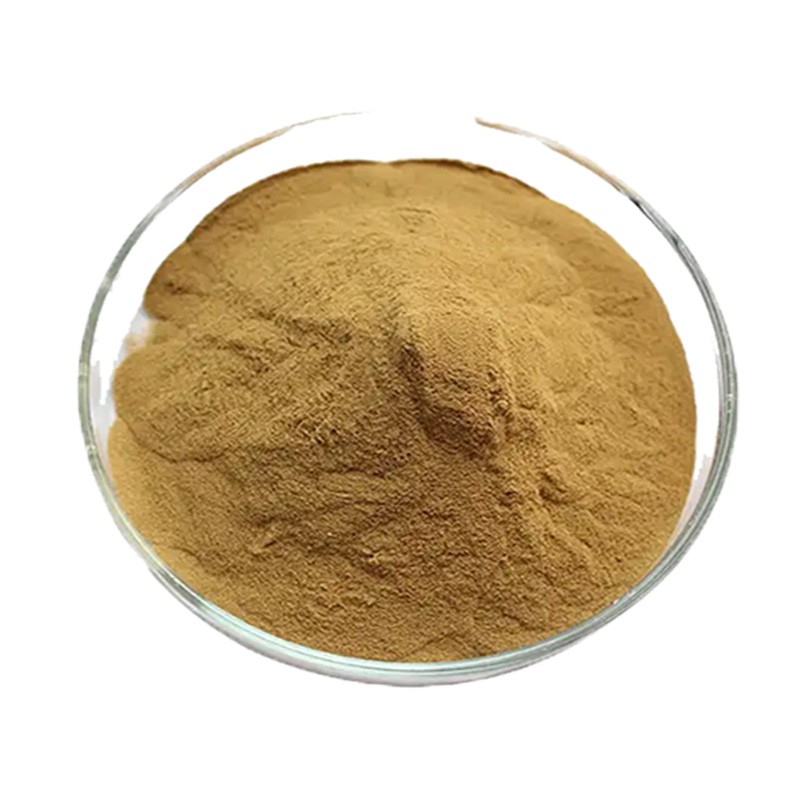 High Nutrient Protein Feed Grade Yeast Feed Additive Autolyzed Yeast Powder for Sales