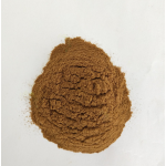 Pure Angelica Sinensis Herbal Extract with 1% Ligustilide CAS 4431-01-0 Available in Powder Form with Various Container Options