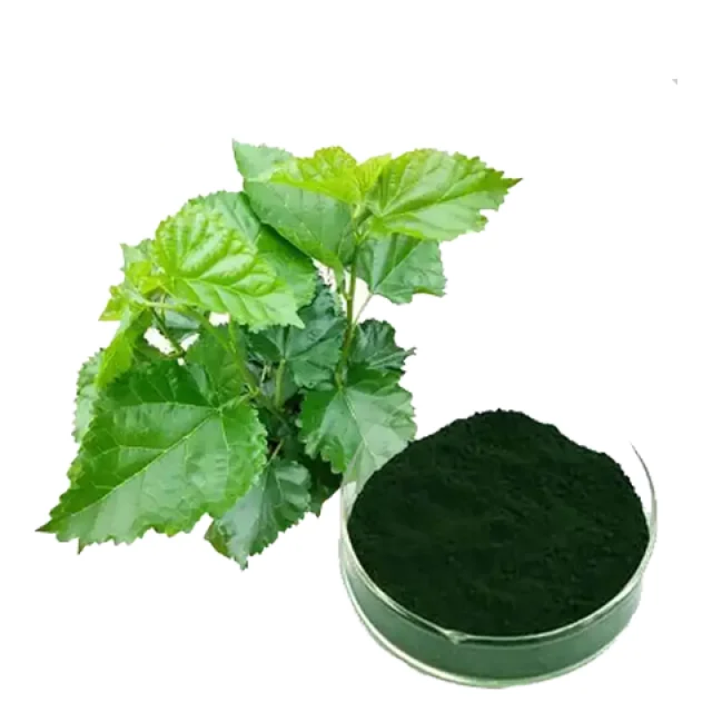 High Quality Food Grade Natural Pigment Sodium Copper Chlorophyllin Powder Vitamin Bottle Drum Glass Container Vacuum 1kg