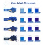 OEM Phycocyanin Blue Majik E6 E18 E25 E40 Organic Certified Blue Spirulina Powder for Sale