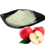 Factory Direct Supply Natural Organic Extract Bulk Halal Apple Cider Vinegar Powder