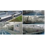 New Generation Cosmetic Raw Material Ceramide EOP/NP/NG/AP/AS Synthetic or Fermented Ceramide Powder Accept OEM/ODM