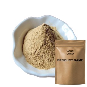 US Warehouse Direct Supply Noni Fruit Powder Spray Dried Noni Juice Powder Accept OEM/ODM