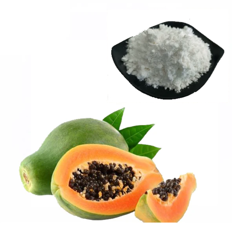 Organic Papaya Fruit Extract Papain Enzyme Powder in Wholesale Bulk