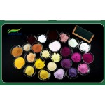 Top Quality 100% Pure Nature Pineapple Fruit Extract Powder Bromelain Enzyme Powder