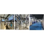 GMP Factory Supply Soybean Extract 97% Phytosterol Ester  Phytosterol for Functional Foods