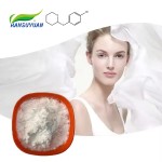 99% Pure Alpha Arbutin Powder for Skin Whitening Cosmetic Raw Materials Alpha-arbutin