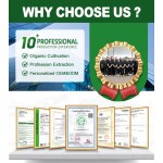 Pure Angelica Sinensis Herbal Extract with 1% Ligustilide CAS 4431-01-0 Available in Powder Form with Various Container Options