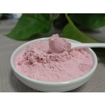 Factory Supply Pomegranate Powder Natural Pomegranate Juice Powder