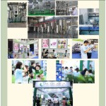 Chebe Powder Wholesale Chebe Powder Hair Growth