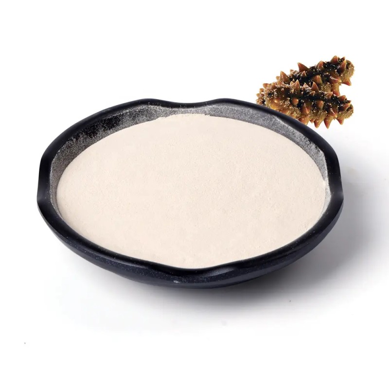 Pure Sea Cucumber Extract Oligopeptide Powder Active Protein Ingredient White Appearance Available Bottle Drum Mason Jar