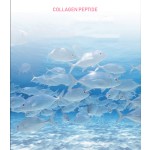 Fish Raw Materials Collagen Peptide Small-molecule Fish Collagen Peptide Natural Collagen Peptide Powder