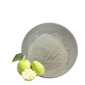 USA / EU Warehouse Organic Pink Guava Juice Fruit Powder No Additives Natural Guava Juice Powder