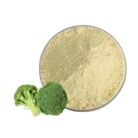 Best Selling 1% Sulforaphane Powder Broccoli Seeds Extract Herbal CAS 142825-10-3 Free Sample in Bottle or Drum Packaging