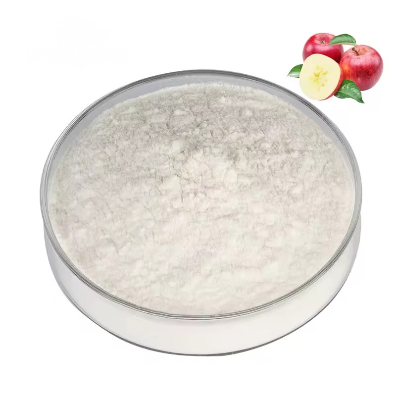 Factory Direct Supply Natural Organic Extract Bulk Halal Apple Cider Vinegar Powder