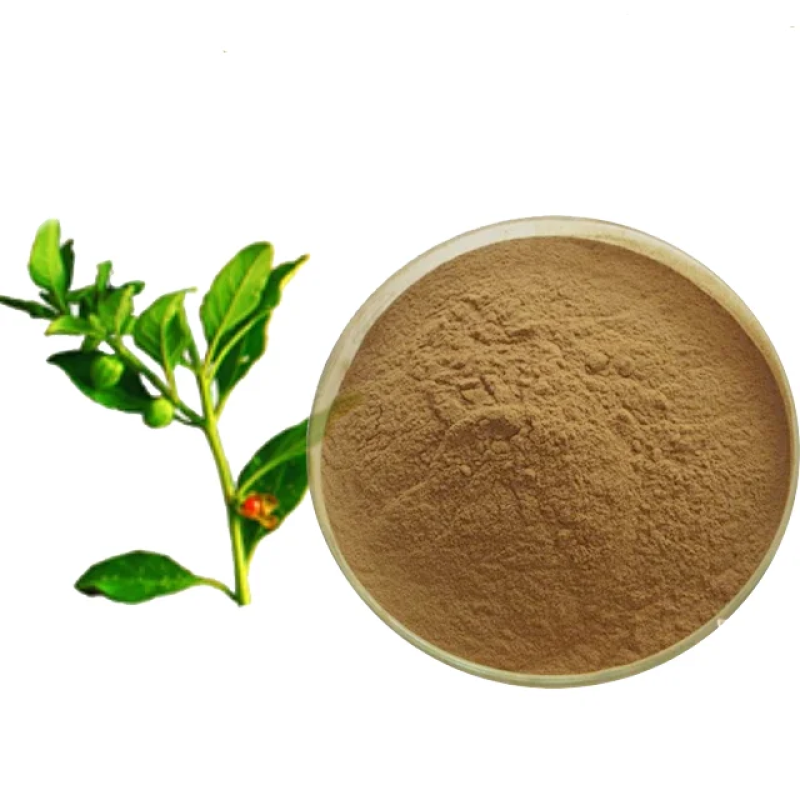 Organic Pure Ashwagandha Root Extract Powder Herbal Stress Relief & Mood Enhancer Packaged in Bottle Drum or Glass Container