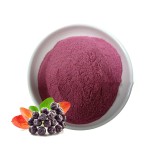 USA EU Warehouse Bulk Aronia Berry Extract Powder 15% Anthocyanidins Aronia Melanocarpa Extract