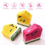 Body Wash Factory - Private Label Vegan Watermelon Shape Handmade