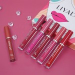 Lip Gloss Set Supplier - Wholesale 6 Colors Nude Vegan Waterproof Lip Stick