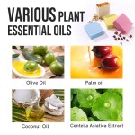 Handmade Soap Manufacturer - Custom Essential Oil Goat Milk Artisanal