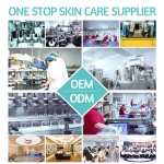 Face Serum Supplier - OEM Private Label 30ML Apple Stem Cell Anti Aging