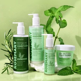 Hair Care Set Manufacturer - Private Label Rosemary Mint Shampoo Conditioner
