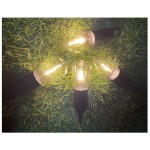 Sunscreen Lotion Supplier - Fast Absorbing