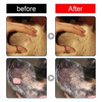 Dog Wart Remover Supplier - Skin Care