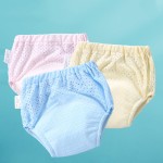 Wall Sticker Supplier - 3D Decoration