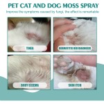 Skin Care Spray Supplier - Mites Removal
