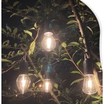 Sunscreen Lotion Supplier - Fast Absorbing