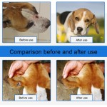 Pet Wound Spray Manufacturer - Dog Care