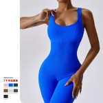 Bodycon Supplier - Workout Jumpsuit