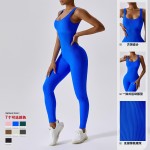 Bodycon Supplier - Workout Jumpsuit