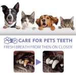 Pet Oral Spray Manufacturer - Anti Bacterial