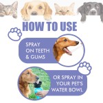 Pet Oral Spray Manufacturer - Anti Bacterial