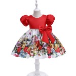 Baby Dress Manufacturer - Summer Birthday