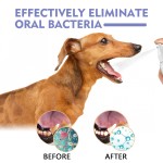 Pet Oral Spray Manufacturer - Anti Bacterial