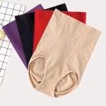 Bodysuit Supplier - Mesh Seamless