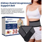 Camping Lantern Manufacturer - Rechargeable