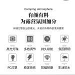 Sunscreen Lotion Supplier - Fast Absorbing