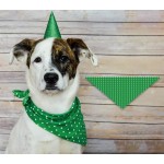 Pet Bandana Factory - New Arrive Custom Printed Soft