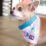 Pet Bandana Factory - New Arrive Custom Printed Soft