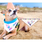 Pet Bandana Factory - New Arrive Custom Printed Soft