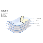 Baby Panties Supplier - Cotton Layer Training