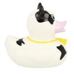 Bath Toy Supplier - Animal Squirter